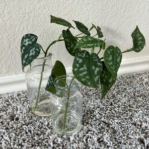 Fake plant in glass jar